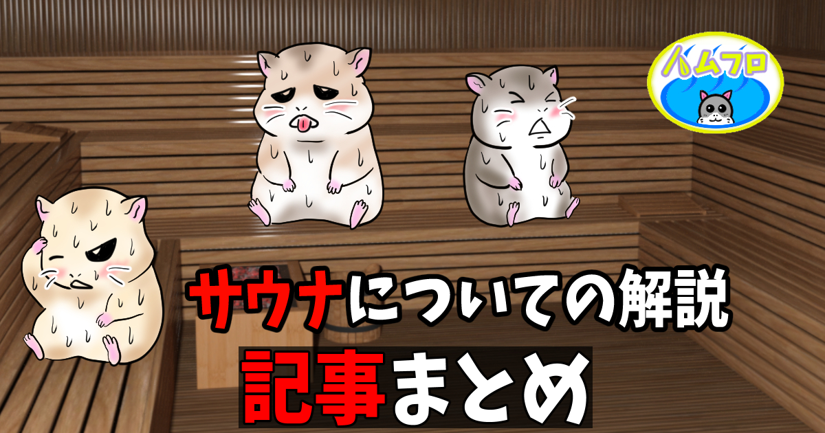 サウナの解説まとめ