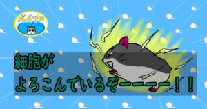 昼のサウナは最高