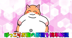 ポッコリお腹になる原因