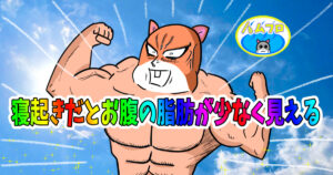 寝起きはお腹の脂肪が少なく見える